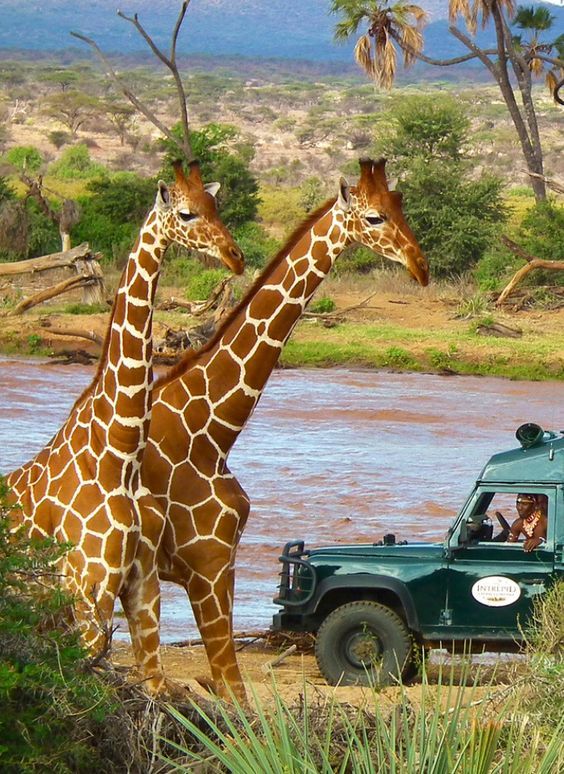 Maasai Mara National Reserve