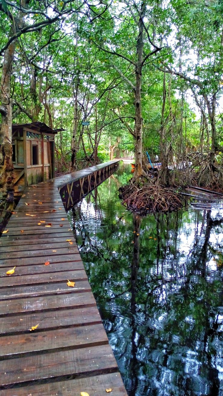 Mida Creek Canoe Tour