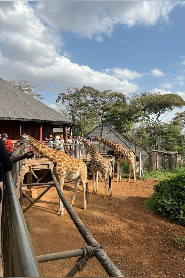 Nairobi City Experience