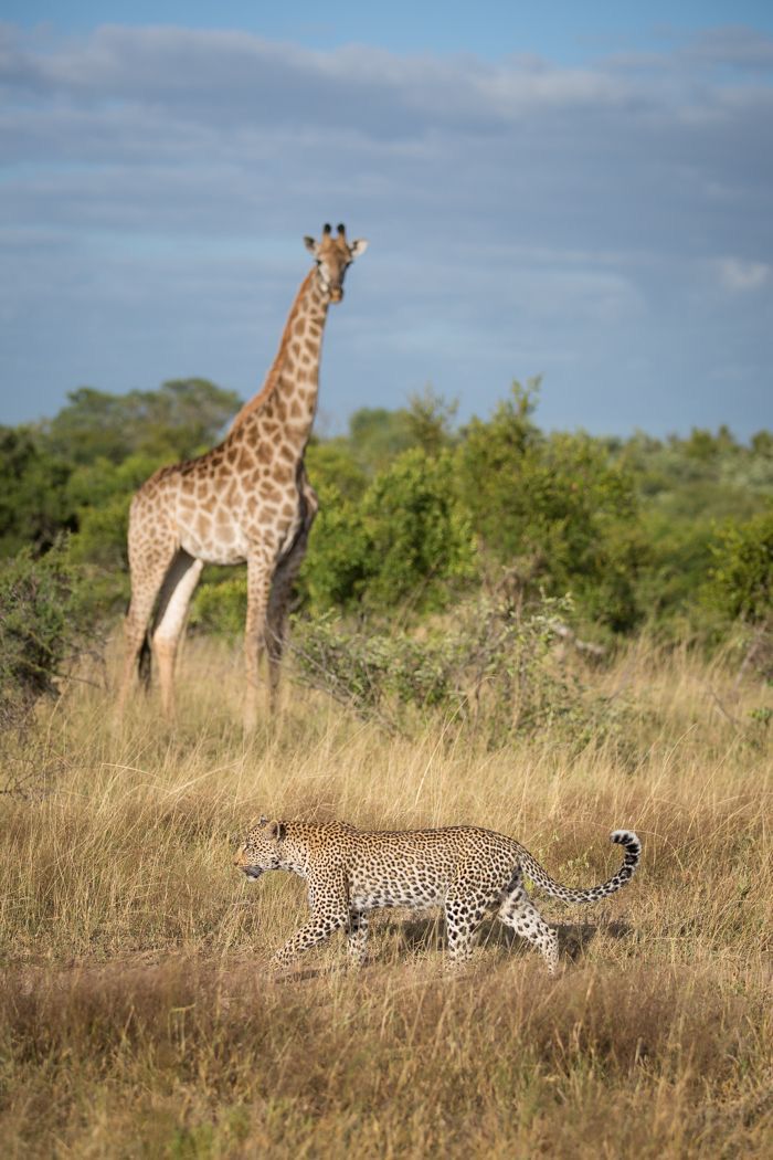 Samburu National Reserve